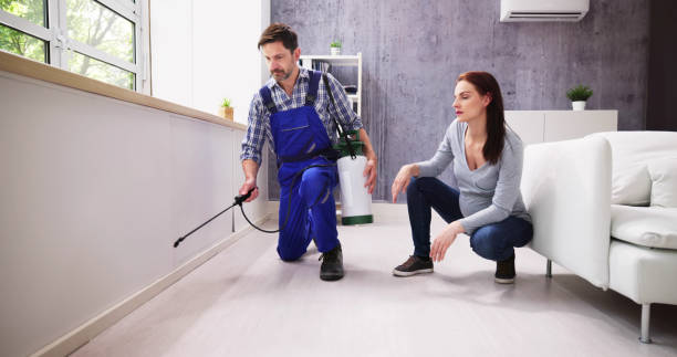 Best Indoor Pest Control  in Paonia, CO